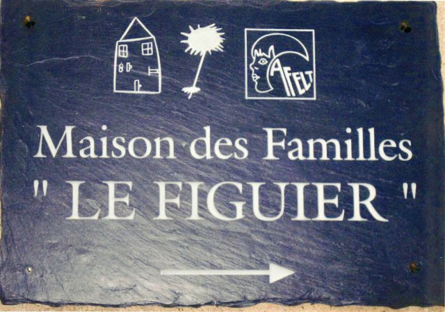 figuier1